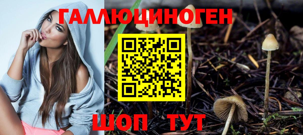 Псилоцибиновые грибы ЛСД Элиста